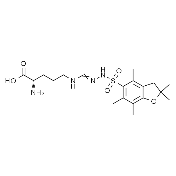 N5-[[[(2,3-二氢-2,2,4,6,7-五甲基-5-苯并呋喃基)磺酰基]氨基]亚氨基甲基]-L-鸟氨酸