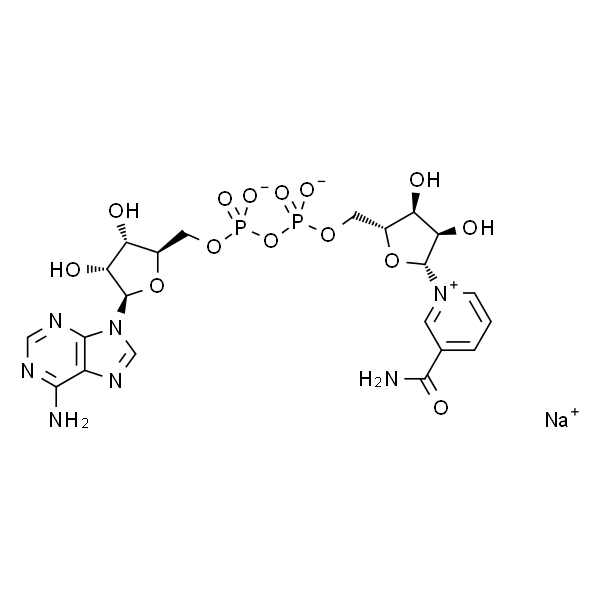 β-烟酰胺腺嘌呤二核苷酸 钠盐