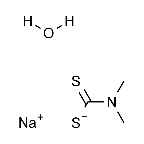 二甲基二硫代氨基甲酸钠 水合物