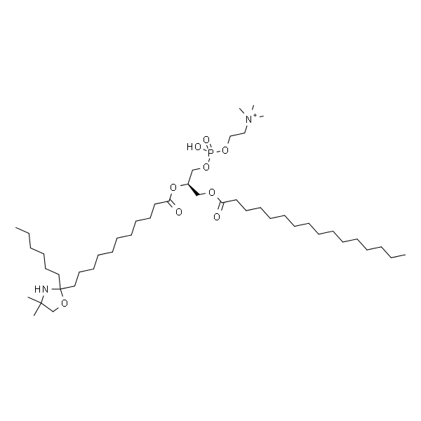 1-palmitoyl-2-stearoyl-(12-doxyl)-sn-glycero-3-phosphocholine