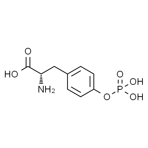 O-磷酸基-L-酪氨酸