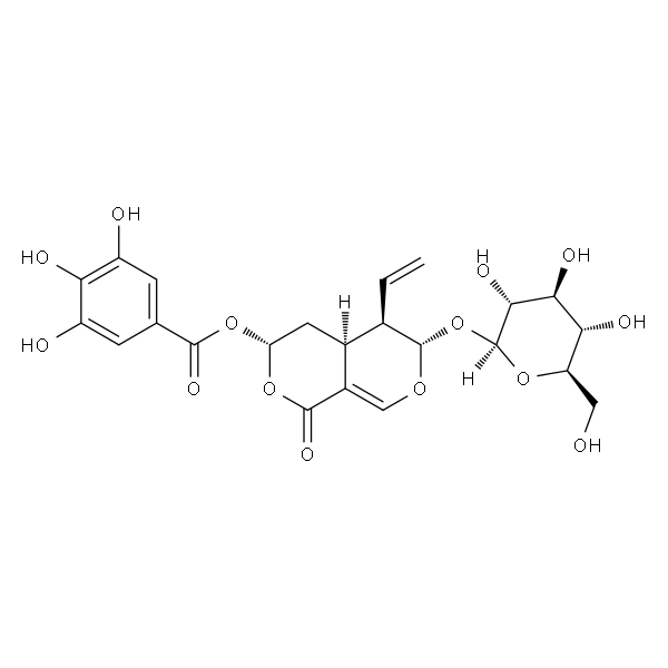 7α-Galloyloxysweroside