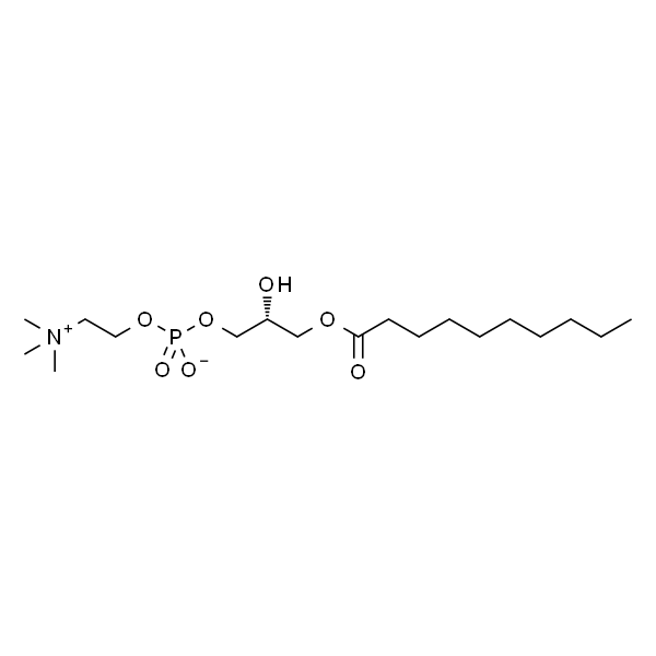 1-decanoyl-2-hydroxy-sn-glycero-3-phosphocholine