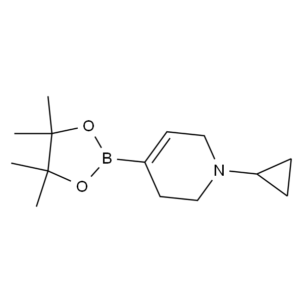 1-环丙基-4-(4,4,5,5-四甲基-1,3,2-二氧硼杂环戊烷-2-基)-1,2,3,6-四氢吡啶