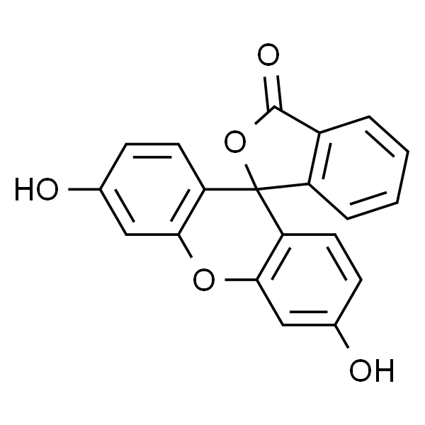 荧光素