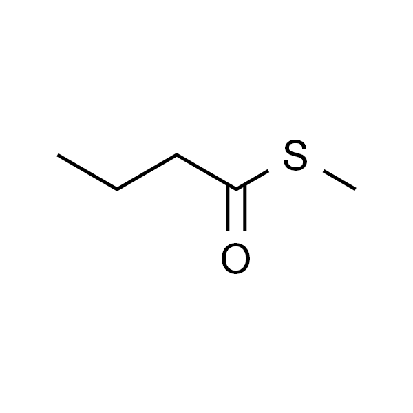 硫代丁酸 S-甲酯