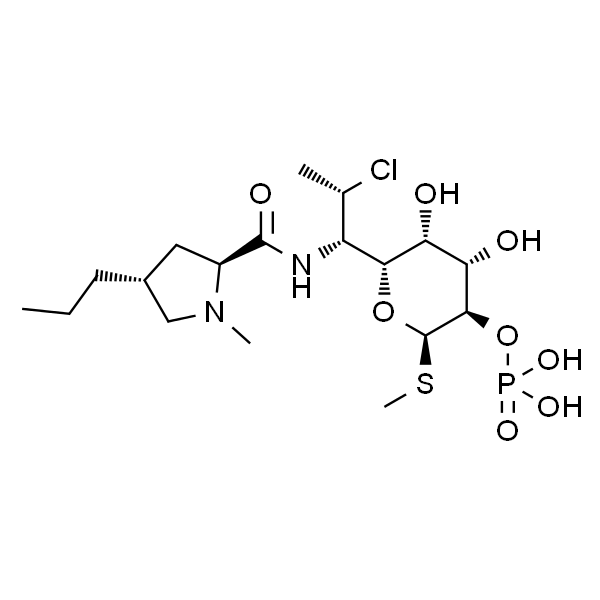 磷酸克林霉素酯