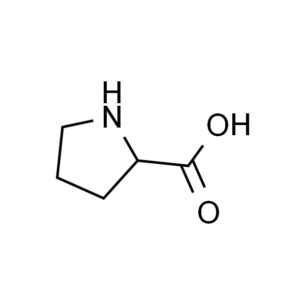 聚左旋脯氨酸