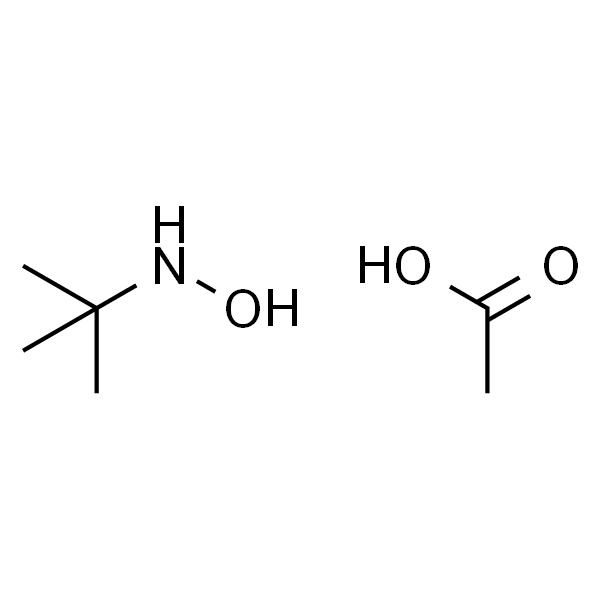 N-叔丁基羟胺醋酸盐