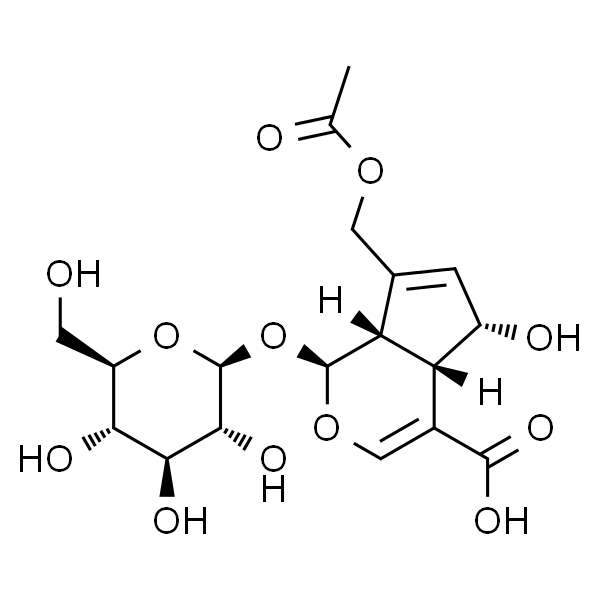 车叶草苷酸