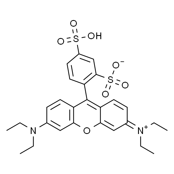 磺酰罗丹明B