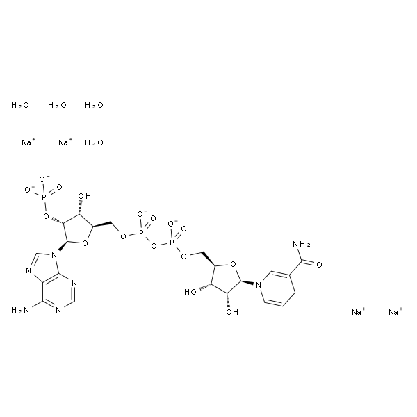 β-烟碱腺嘌呤二核苷磷酸盐四钠盐, 还原型[生物化学用]