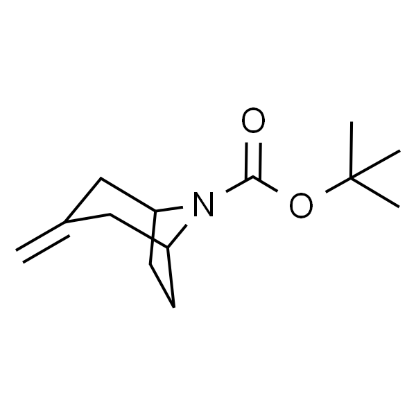 3-亚甲基-8-氮杂双环[3.2.1]辛烷-8-羧酸叔丁酯