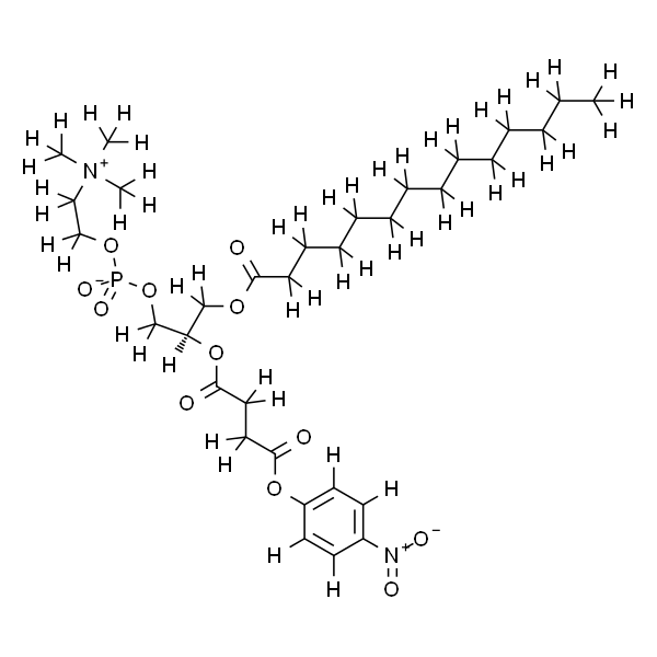 1-myristoyl-2-(4-nitrophenylsuccinyl)-sn-glycero-3-phosphocholine