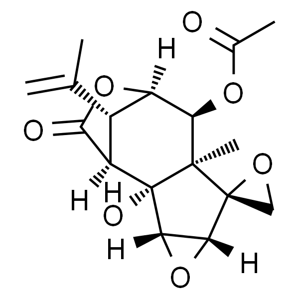 2-邻乙酰基羟基马桑毒素