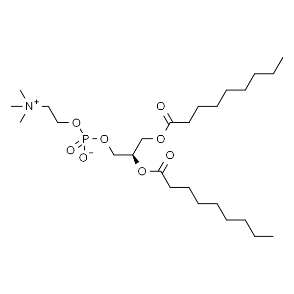 1,2-二壬酰-Sn-甘油-3-磷酰胆碱
