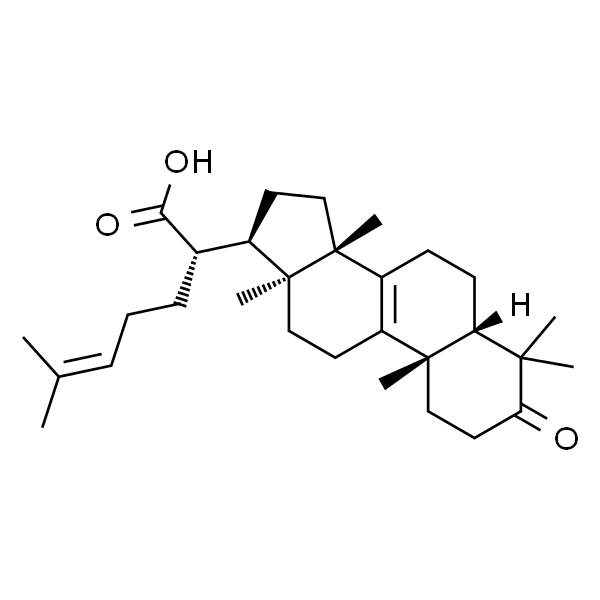 榄香酮酸