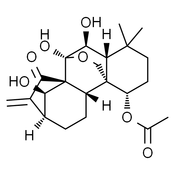 毛栲利素