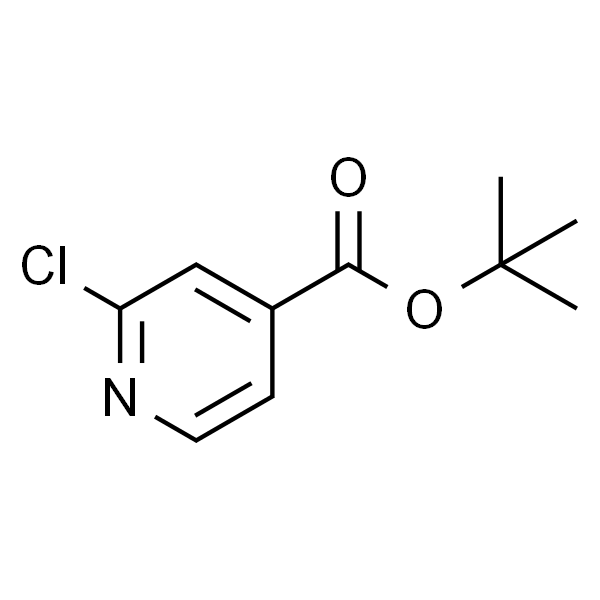 2-氯异烟酸叔丁酯