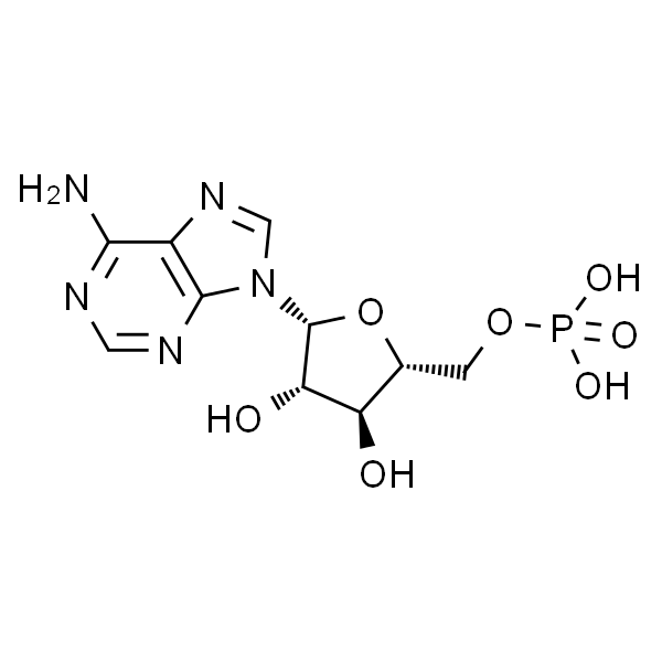 单磷酸阿糖腺苷