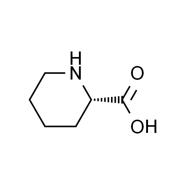 L-2-哌啶酸
