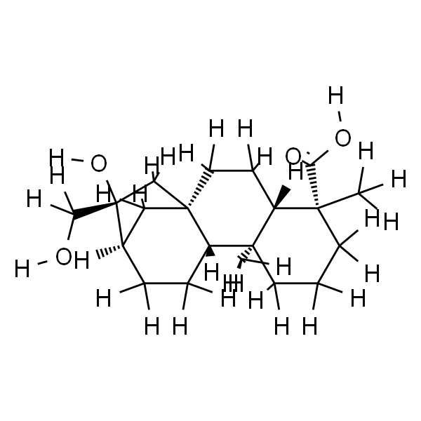 等效-16beta,17-二羟基-19-异贝壳杉烷酸