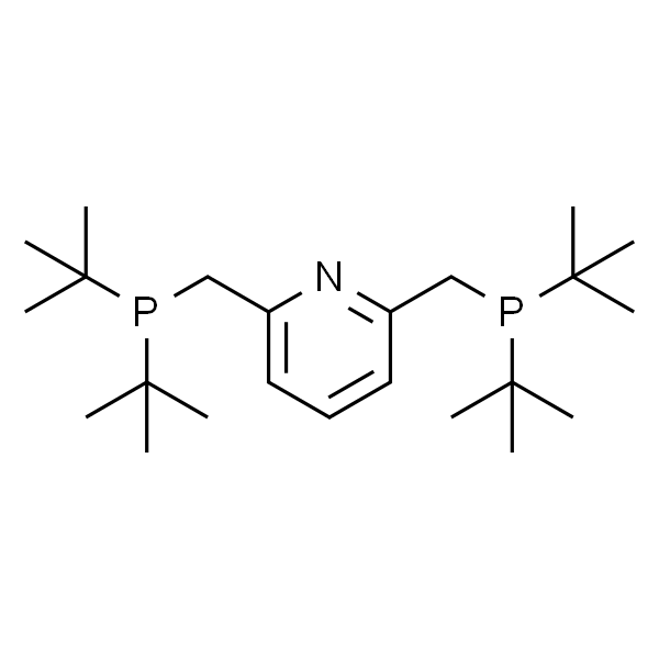 2,6-Bis(di-t-butylphosphinomethyl)pyridine,98%