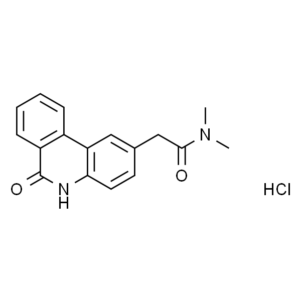 N-(6-氧代-5,6-二氢菲啶-2-基)-2-(N,N-二甲基氨基)乙酰胺盐酸盐