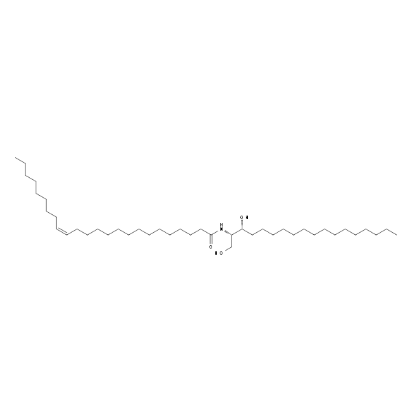 N-nervonoyl-D-erythro-sphinganine