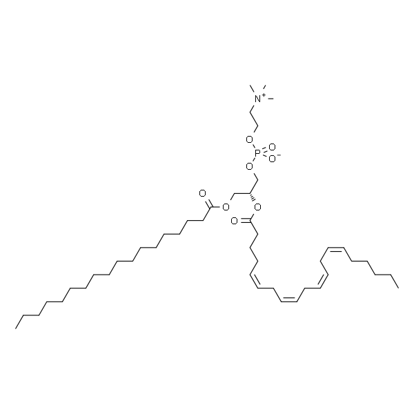 L-α-磷脂酰胆碱-β-花生四烯酰-γ-硬脂酰