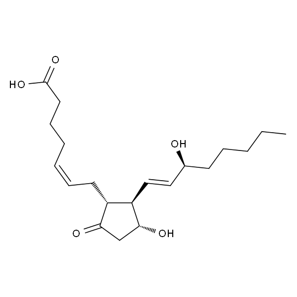 地诺前列酮(前列腺素E2)