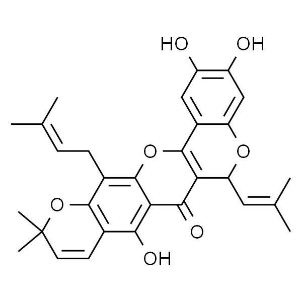 异叶波罗蜜环黄酮素