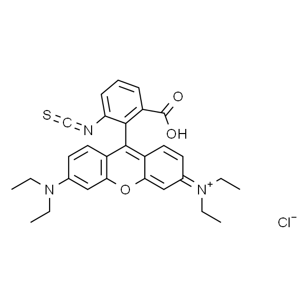 罗丹明 B 异硫氰酸酯