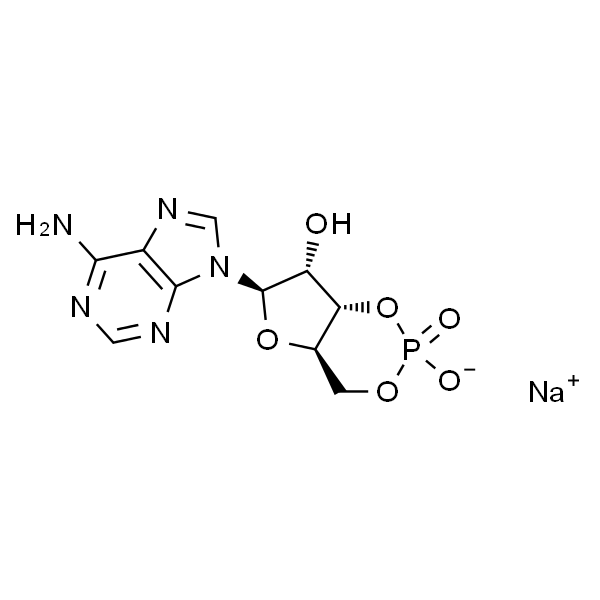 腺苷-3',5'-环状单磷酸钠水合物