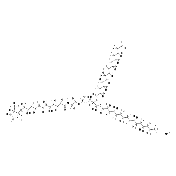 1,2-dipalmitoyl-sn-glycero-3-phosphoethanolamine-N-(cap biotinyl) (sodium salt)