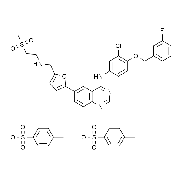 N-[3-氯-4-[(3-氟苯基)甲氧基]苯基]-6-[5-[(2-甲磺酰乙基氨基)甲基]-2-呋喃基]喹唑啉-4-胺二对甲苯磺酸盐