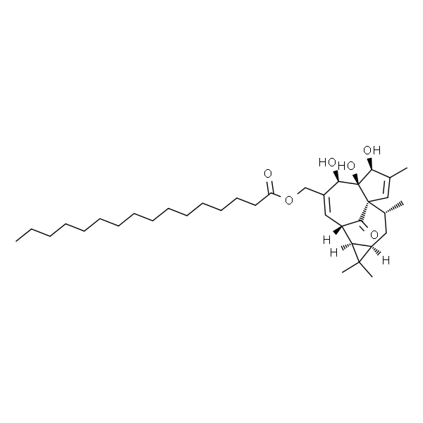 Ingenol 20-palmitate