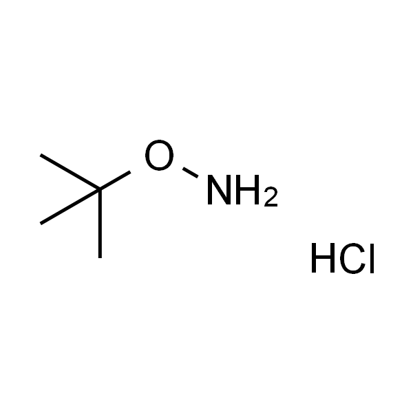 O-叔丁基羟胺 盐酸盐
