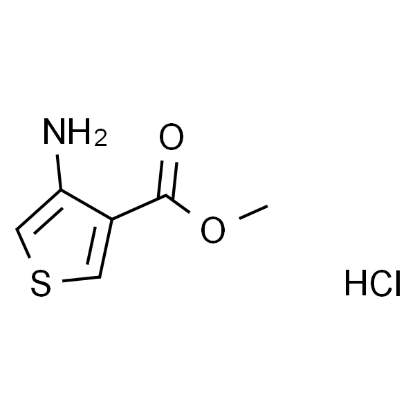 3-氨基噻吩-4-羧酸甲酯盐酸盐