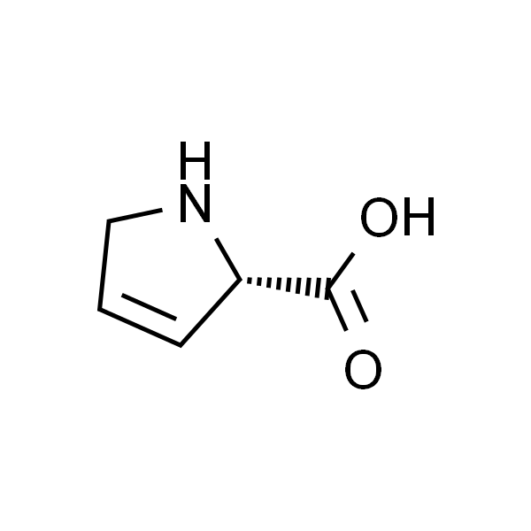 3,4-脱氢-L-脯氨酸