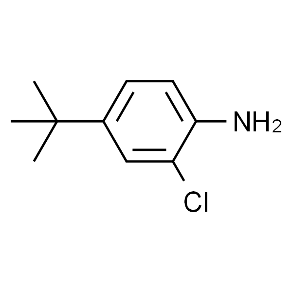 4-叔丁基-2-氯苯胺