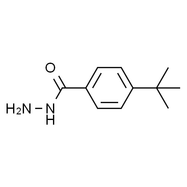 对叔丁基苯甲酰肼