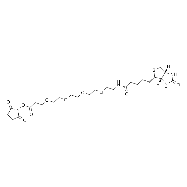 15-BiotinlaMino-4,7,10,13-dioxanonanoic acid N-hydroxysucciniMidyl ester