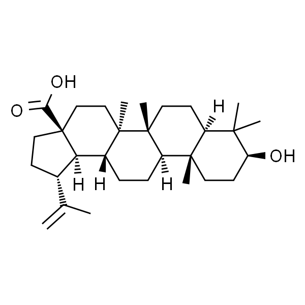 白桦脂酸