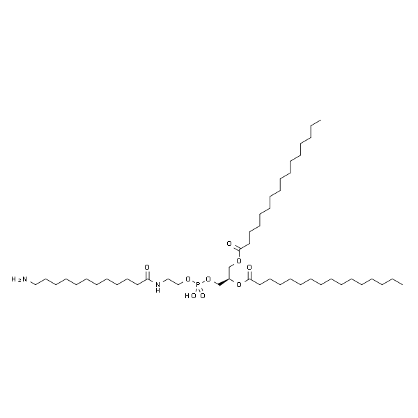 1,2-dipalmitoyl-sn-glycero-3-phosphoethanolamine-N-(dodecanylamine)