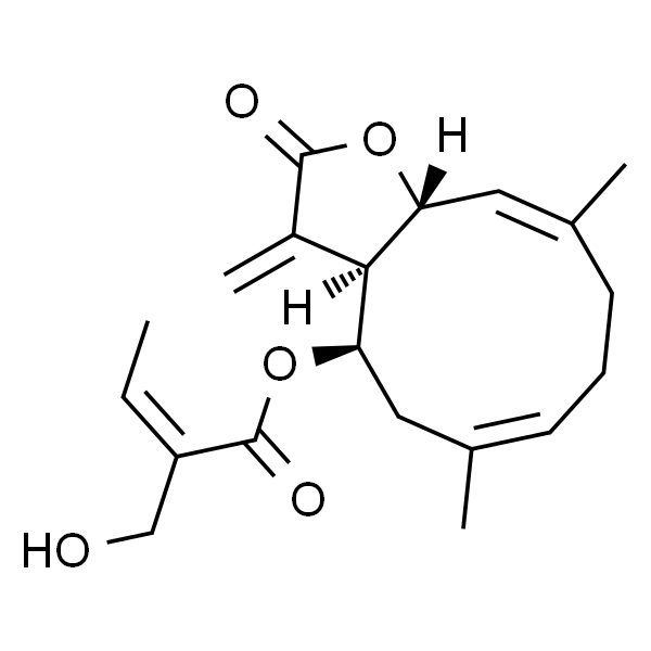 Eupaglehnin C