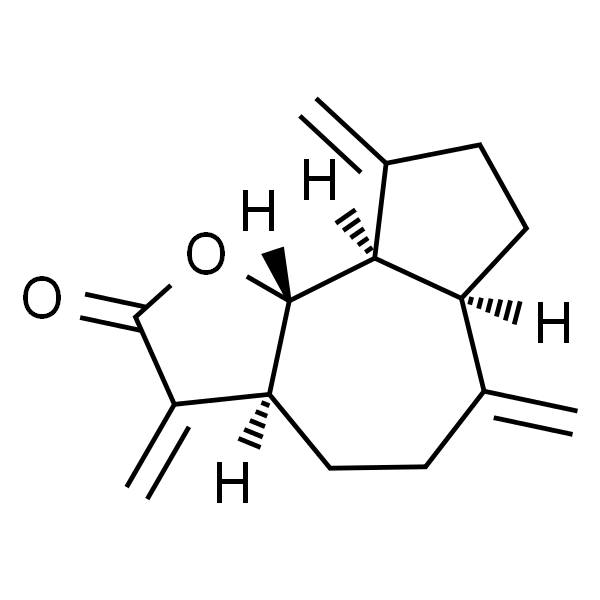 去氢木香内酯