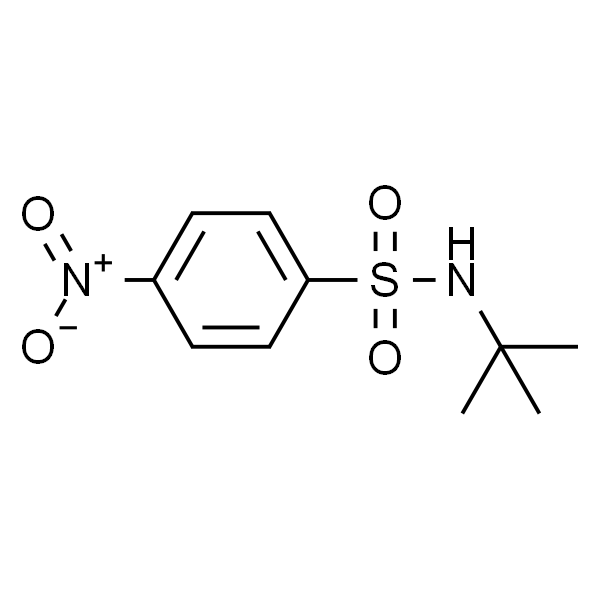 N-叔丁基-4-硝基苯磺酰胺