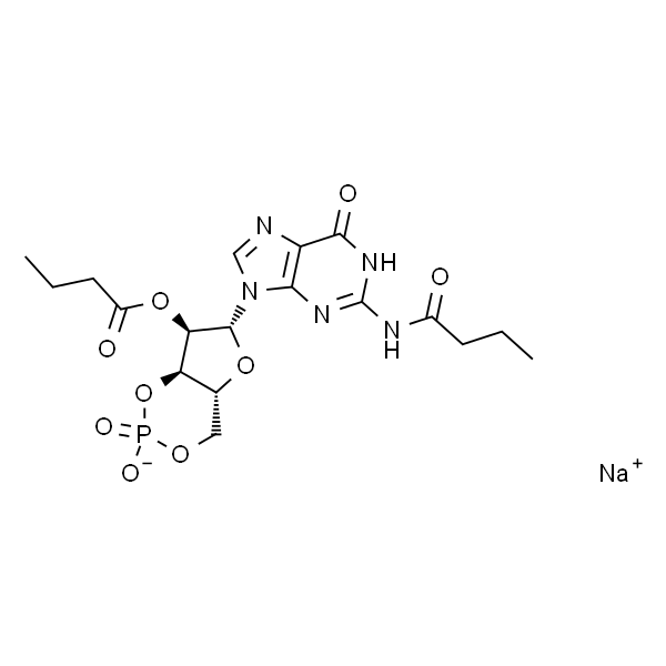 Dibutyryl-cGMP sodium