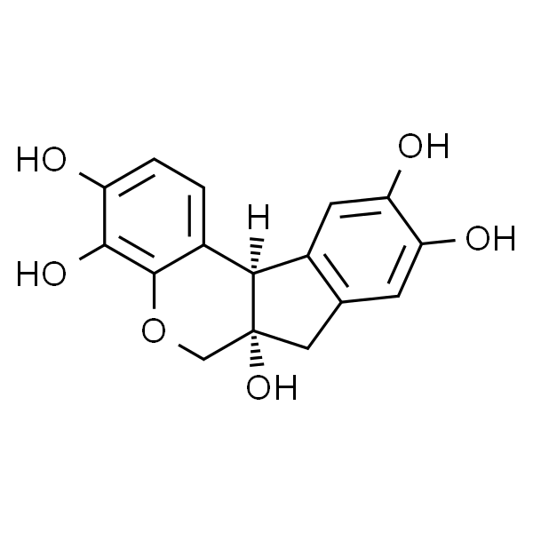 苏木精